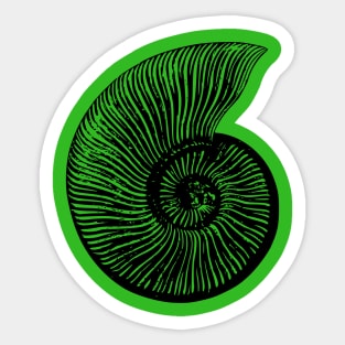 Ammonite Sticker